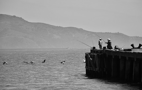 DSC_0184