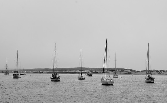 DSC_0174