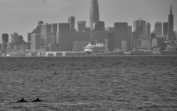 DSC_0068