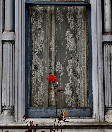 DSC_0078