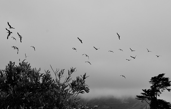 DSC_0272