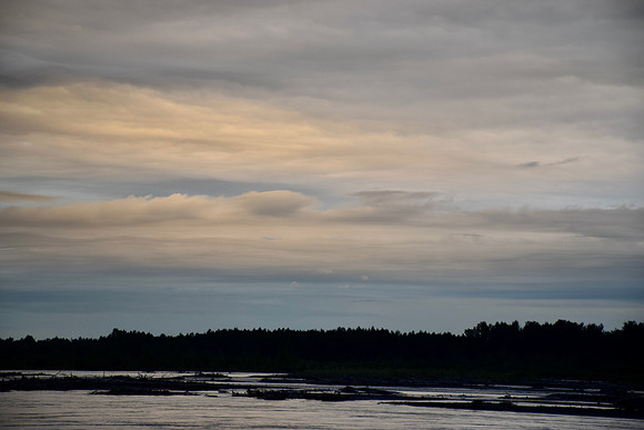DSC_0558