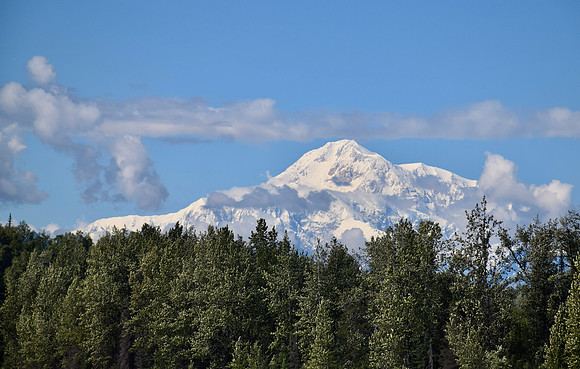 DSC_0439