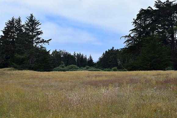 DSC_0180