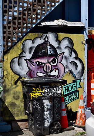 DSC_0020