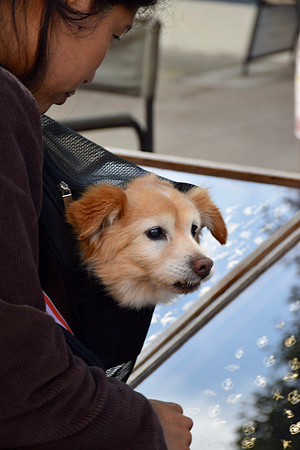 DSC_0127