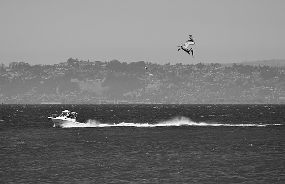 DSC_0113