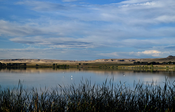 DSC_0250