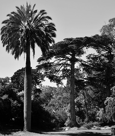 DSC_0010