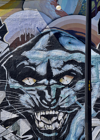 DSC_0038