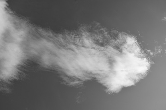 DSC_0434