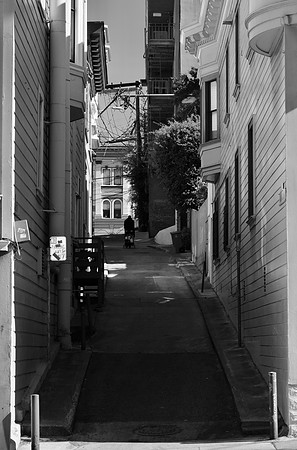 DSC_0053