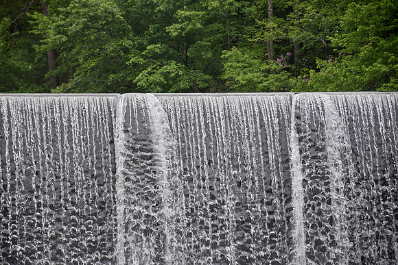 DSC_0194