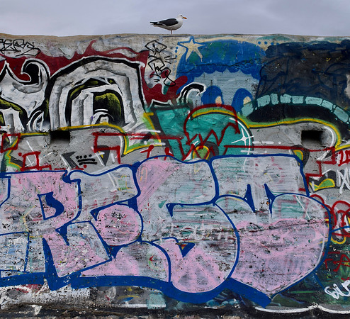 DSC_0052