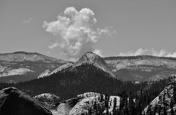 DSC_0008