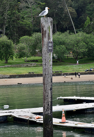 DSC_0086