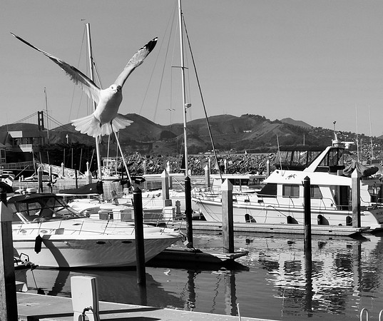 DSC_0032