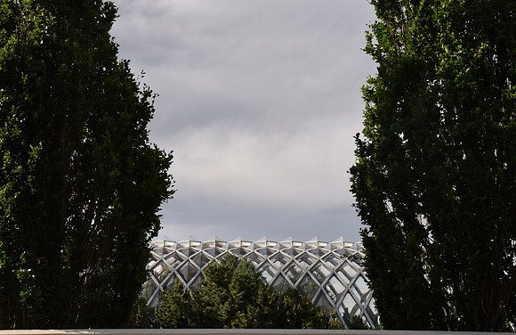 DSC_0842