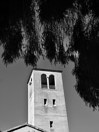 DSC_0029