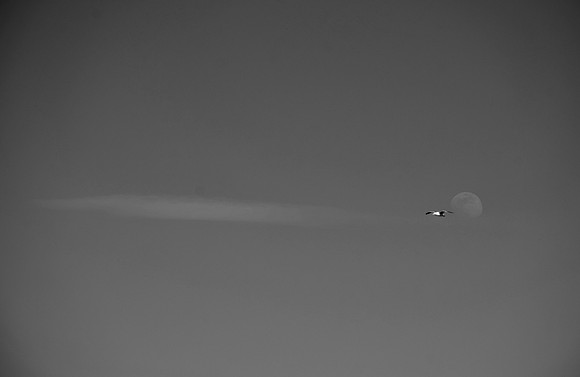 DSC_0045