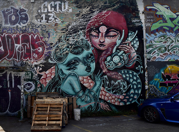 DSC_0018