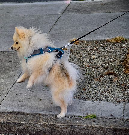 DSC_0171