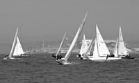 DSC_0100 (1)