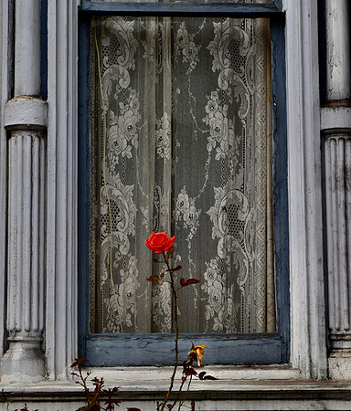 DSC_0078