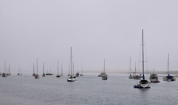 DSC_0179