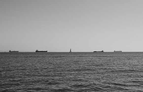 DSC_0324