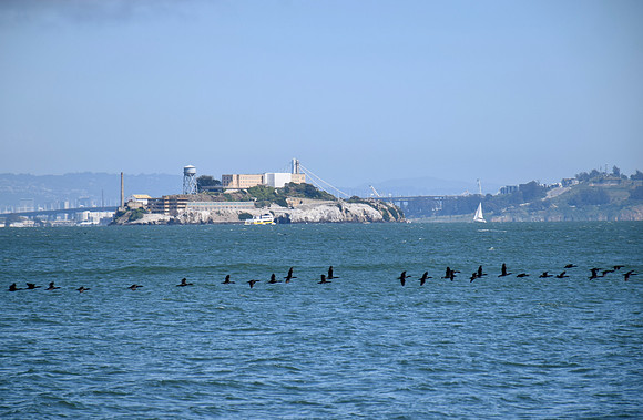 DSC_0174
