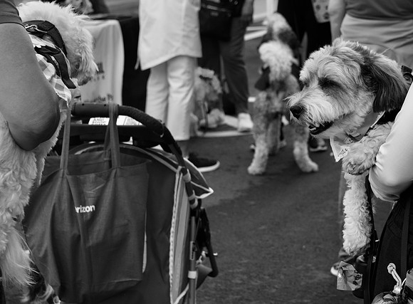 DSC_0079
