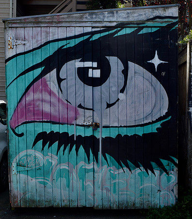 DSC_0019