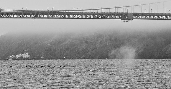 DSC_0142 (3)