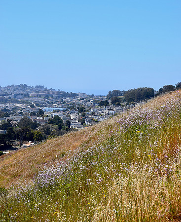 DSC_0012
