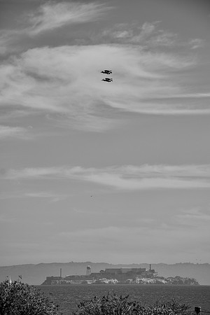 DSC_0204