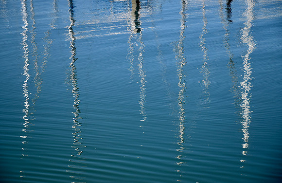 DSC_0019