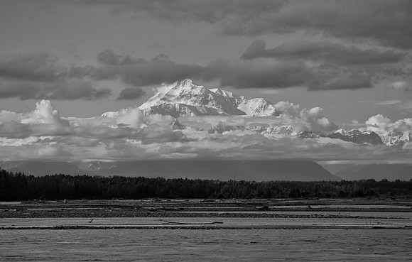 DSC_0510
