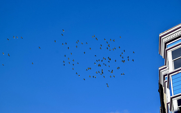 DSC_0050