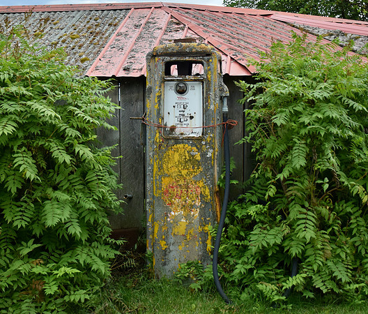 DSC_0667