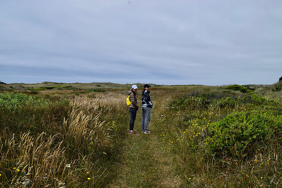 DSC_0129