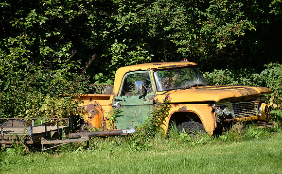DSC_0766