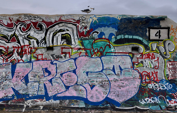 DSC_0050