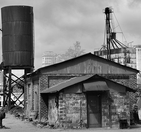 DSC_0261