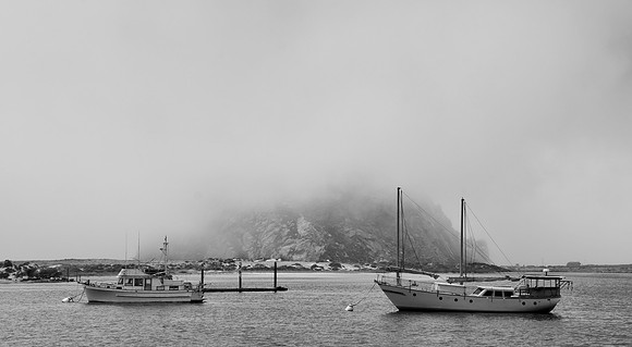 DSC_0173