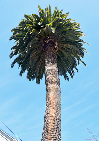 DSC_0012