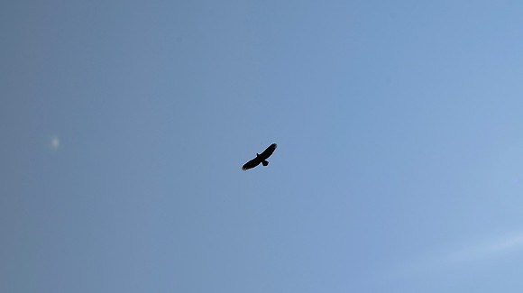 DSC_0038