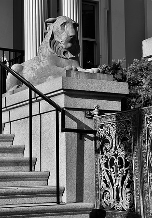 DSC_0049
