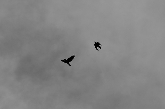 DSC_0012
