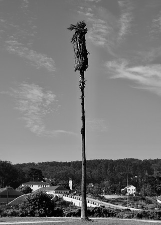 DSC_0043